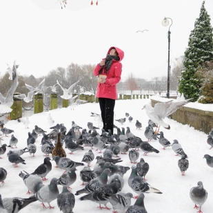 Ashleigh Day offers the birds some much-needed food to help see them through during the harsh winter.